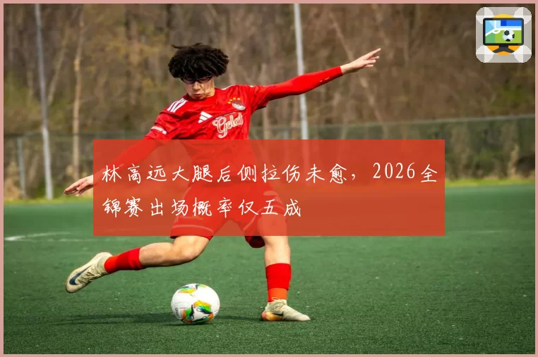 林高远大腿后侧拉伤未愈，2026全锦赛出场概率仅五成