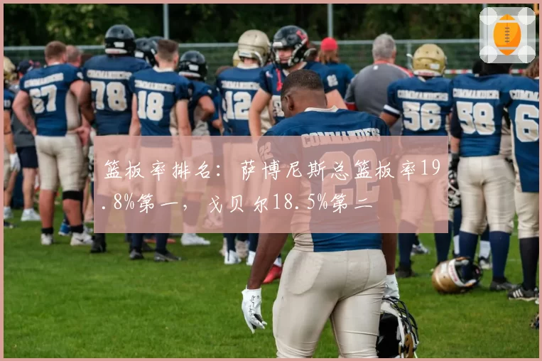 篮板率排名：萨博尼斯总篮板率19.8%第一，戈贝尔18.5%第二